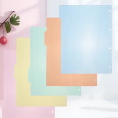 Tab Divider A4 - 10 Separadores de Índice de Plástico